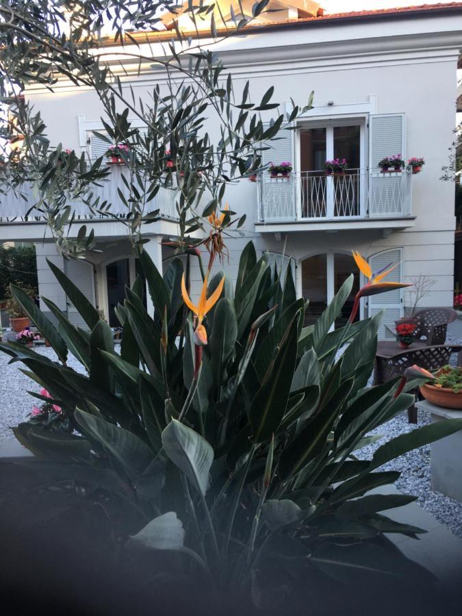 Guesthouse Villa Jung 博尔迪盖拉 外观 照片