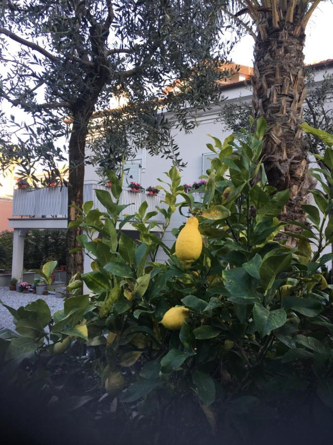 Guesthouse Villa Jung 博尔迪盖拉 外观 照片